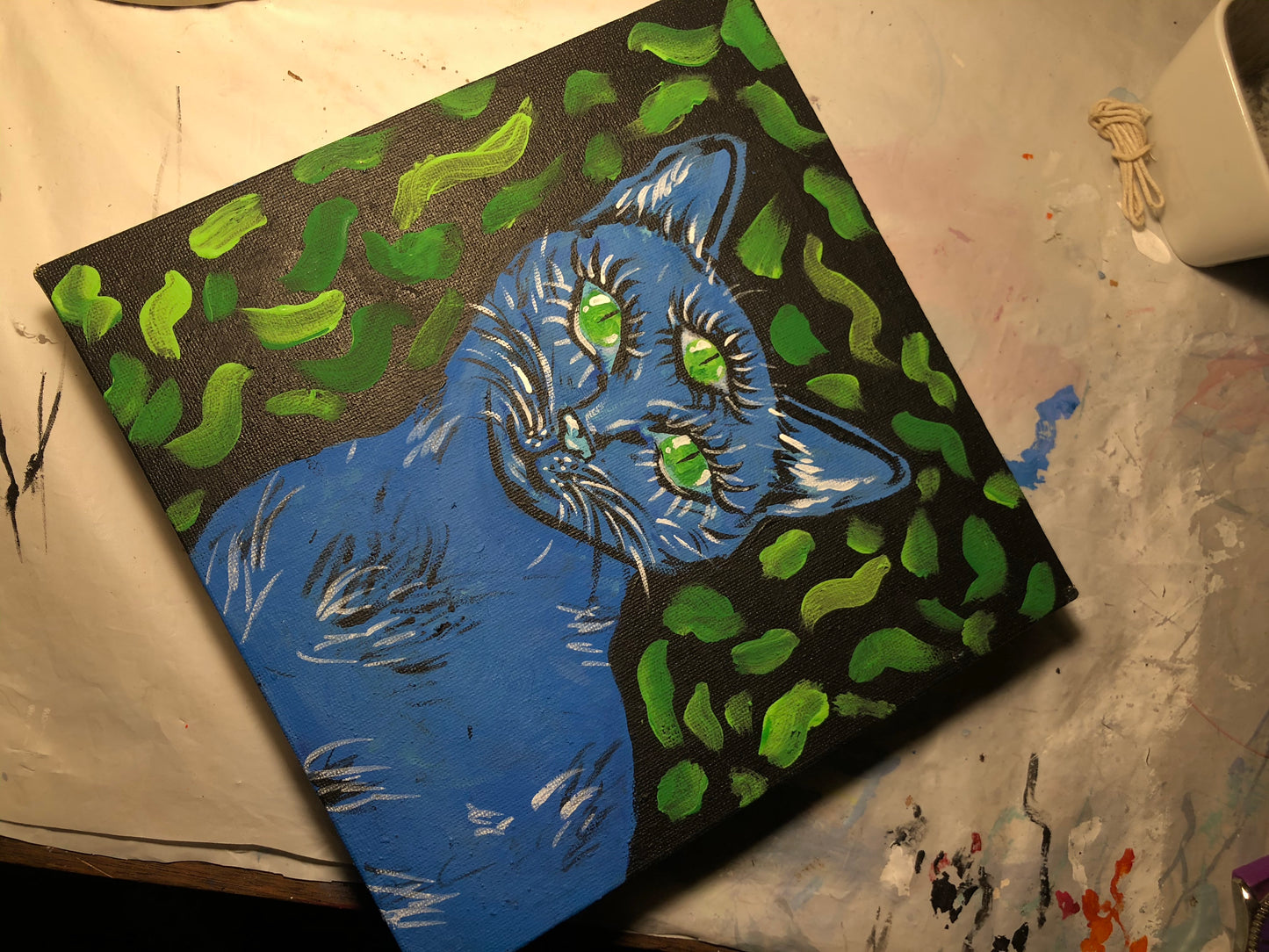Blue third eye cat